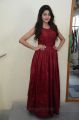 Actress Shalu Chourasiya New Hot Pics in Red Long Gown Dress