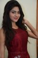 Actress Shalu Chourasiya Hot in Red Long Gown Pics