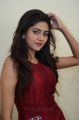 Actress Shalu Chourasiya Hot in Red Long Gown Pics
