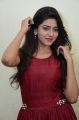 Actress Shalu Chourasiya New Hot Pics in Red Long Gown Dress