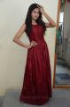 Actress Shalu Chourasiya Red Long Gown Dress Pics