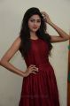 Actress Shalu Chourasiya Hot in Red Long Gown Pics