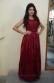 Actress Shalu Chourasiya New Pics in Red Long Gown Dress