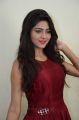 Actress Shalu Chourasiya New Hot Pics in Red Long Gown Dress