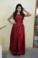 Actress Shalu Chourasiya Hot in Red Long Gown Pics