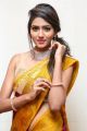 Telugu Actress Shalu Chourasiya in Silk Saree Stills