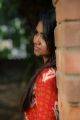 Tamil Actress Shalu Shamu Photos HD