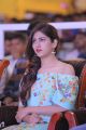 Actress Chandini Chowdary @ Shamanthakamani Grand Release Event Haailand Photos