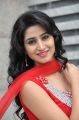 Telugu Model Shamili Agarwal Cute Photos