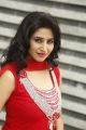 Telugu Model Shamili Agarwal Cute Photos