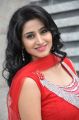 Hyderabad Model Shamili Agarwal Cute Photos