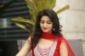 Model Shamili Agarwal Cute Photos Gallery