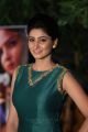 Actress Shamili Agarwal Pics in Green Dress