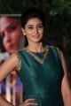 Telugu Actress Shamili Agarwal Pics in Green Dress