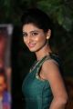 Actress Shamili Agarwal Pics in Green Dress