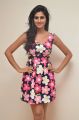 Telugu Actress Shamili Sounderajan Photos in Frock