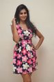 Telugu Actress Shamili Sounderajan Photos in Frock