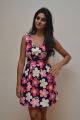 Actress Shamili Sounderajan in Short Frock Photos