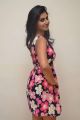 Actress Shamili Sounderajan in Short Flower Frock Photos