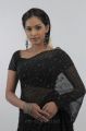 Shammu Hot in Black Saree Stills