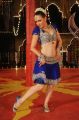 Hot Item Girl Hazel Crowney in Shankara Movie Photos