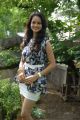Telugu Actress Shanvi Latest Stills