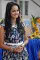 Actress Shanvi at Adda Movie Launch