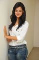 Telugu Actress Shanvi New Photos