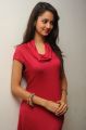 Actress Shanvi Hot Photos at Adda Movie Success Meet