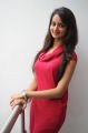 Actress Shanvi Hot Pics at Adda Success Meet