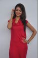 Actress Shanvi Hot Photos at Adda Movie Success Meet