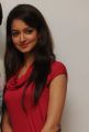 Actress Shanvi Hot Pics at Adda Movie Success Meet