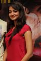 Actress Shanvi Hot Stills at Adda Movie Success Meet