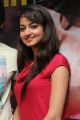 Actress Shanvi Hot Stills at Adda Movie Success Meet