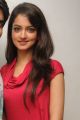 Actress Shanvi Hot Pics at Adda Success Meet