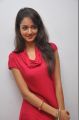 Actress Shanvi Hot Stills at Adda Movie Success Meet