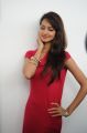 Actress Shanvi Hot Pics at Adda Success Meet