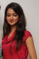 Actress Shanvi Hot Pics at Adda Movie Success Meet