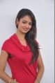 Actress Shanvi Hot Pics at Adda Success Meet