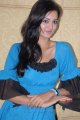 Lovely Heroine Shanvi Latest Stills