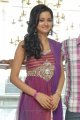 Cute Shanvi at Lovely Movie Triple Platinum Disc Function
