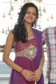 Cute Shanvi at Lovely Movie Triple Platinum Disc Function