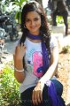 Actress Shanvi Cute Stills