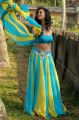 Telugu Actress Shanvi Hot Photos in Lovely