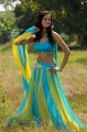 Telugu Actress Shanvi Hot Photos in Lovely