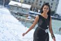 Shanvi Cute Still in Black Dress