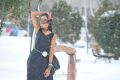 Telugu Actress Shanvi in Black Dress Stills
