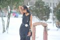 Lovely Heroine Shanvi in Black Dress Pics