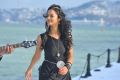 Telugu Actress Shanvi in Black Dress Stills