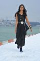 Telugu Actress Shanvi in Black Dress Stills